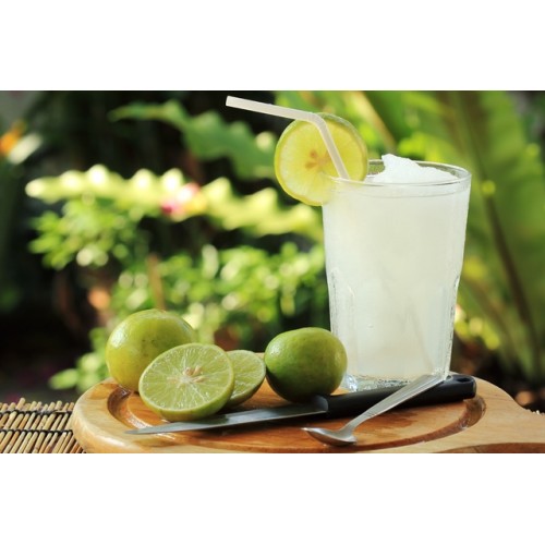 Suco Natural Limão 1L